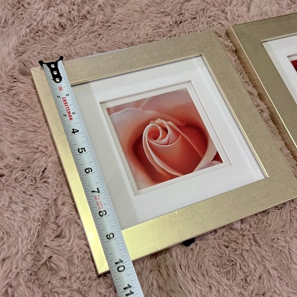 Set of 2 soft champagne gold framed rose photos white matte 10” x 10” square​​ - Picture 6 of 13